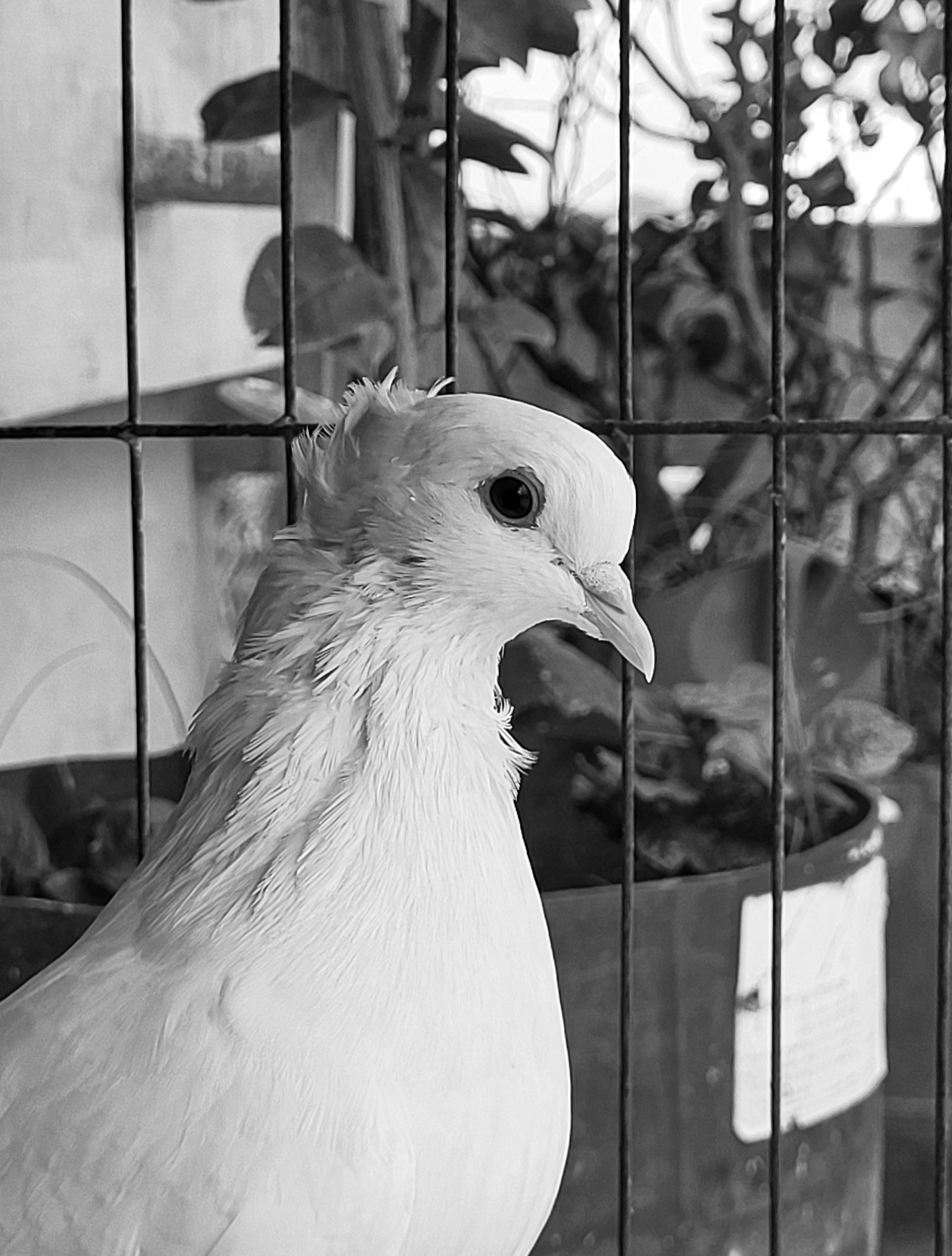 Photography 7